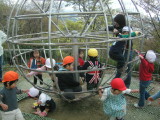 img0006.jpg