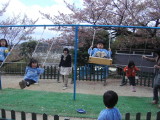 img0011.jpg
