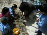 img0031.jpg