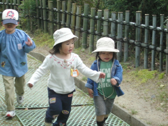 img0019.jpg
