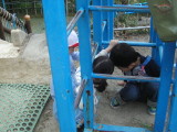 img0006.jpg