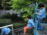 img0008.jpg