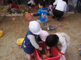 img0012.jpg