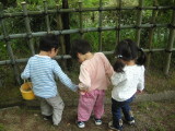 img0016.jpg