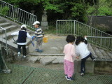 img0017.jpg