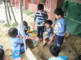 img0029.jpg