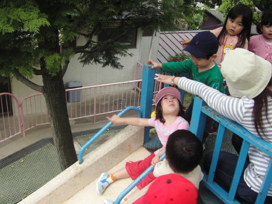 img0006.jpg