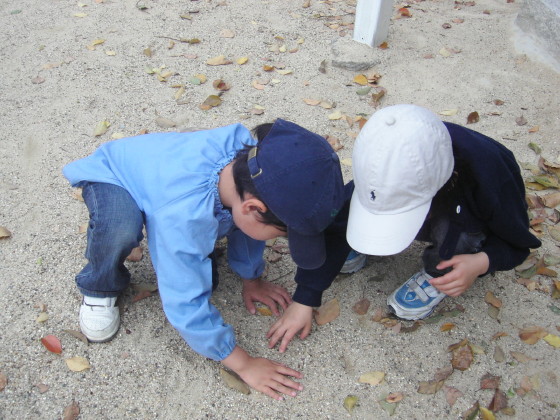 img0009.jpg