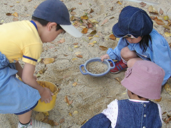 img0017.jpg