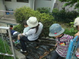 img0002.jpg