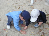 img0009.jpg