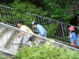 img0010.jpg