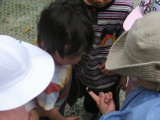 img0013.jpg