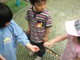 img0014.jpg