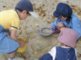 img0017.jpg