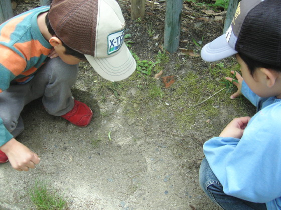 img0000.jpg