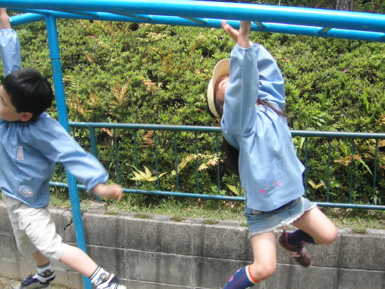 img0006.jpg