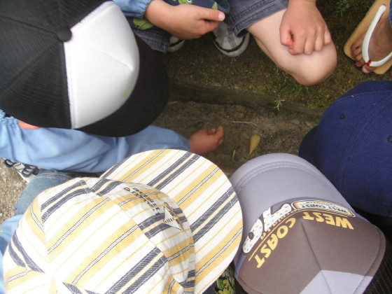 img0018.jpg