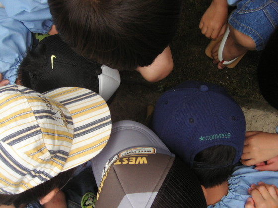 img0019.jpg