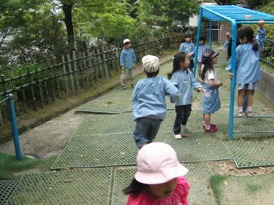 img0031.jpg