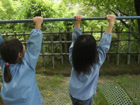 img0033.jpg