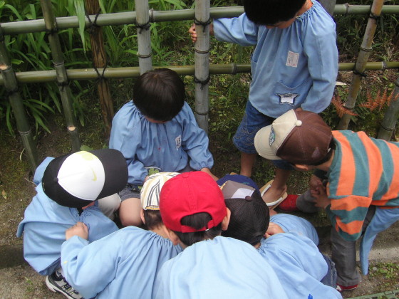 img0040.jpg