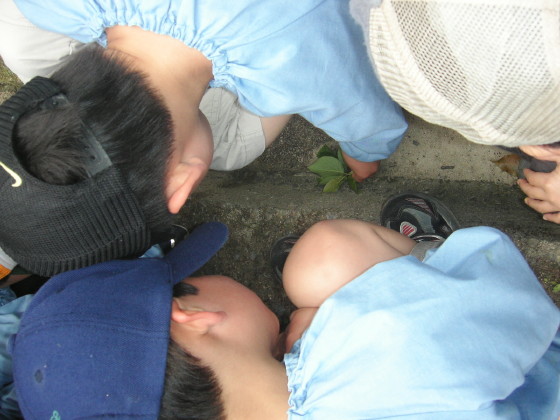 img0045.jpg