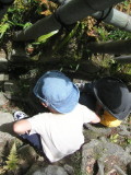 img0001.jpg