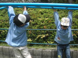 img0004.jpg