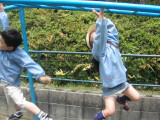 img0006.jpg