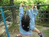 img0010.jpg