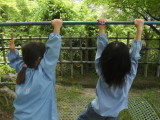 img0013.jpg
