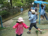 img0016.jpg
