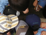 img0019.jpg