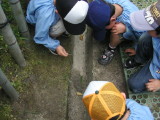 img0020.jpg