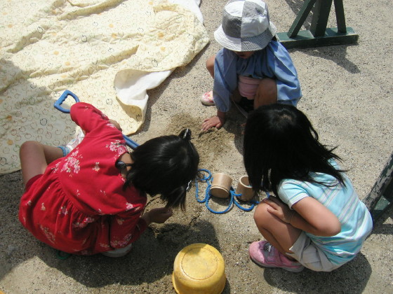 img0012.jpg