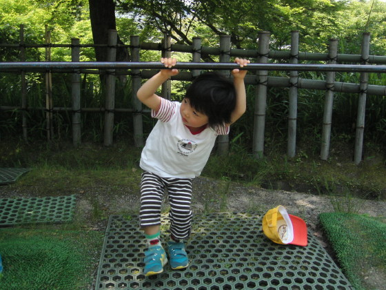 img0061.jpg