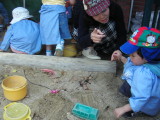 img0003.jpg