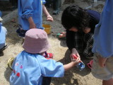 img0009.jpg