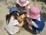 img0013.jpg