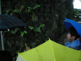 img0015.jpg