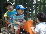 img0019.jpg
