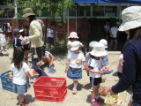 img0027.jpg