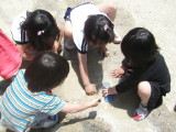 img0029.jpg