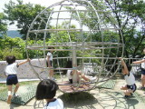 img0031.jpg