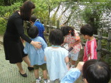 img0050.jpg