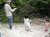 img0055.jpg