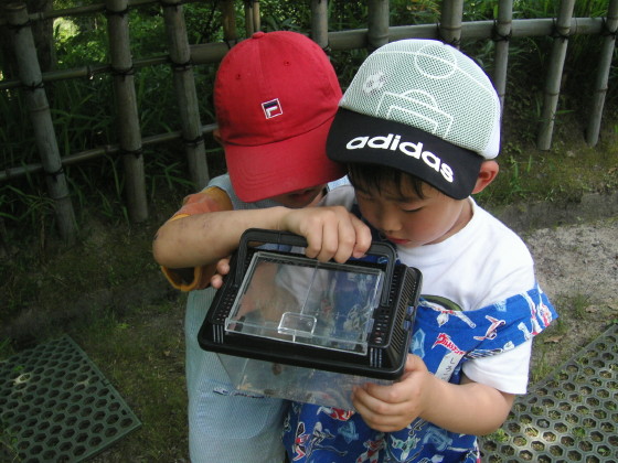 img0012.jpg