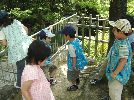 img0023.jpg