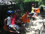 img0005.jpg